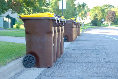 Trash Can Cleaning